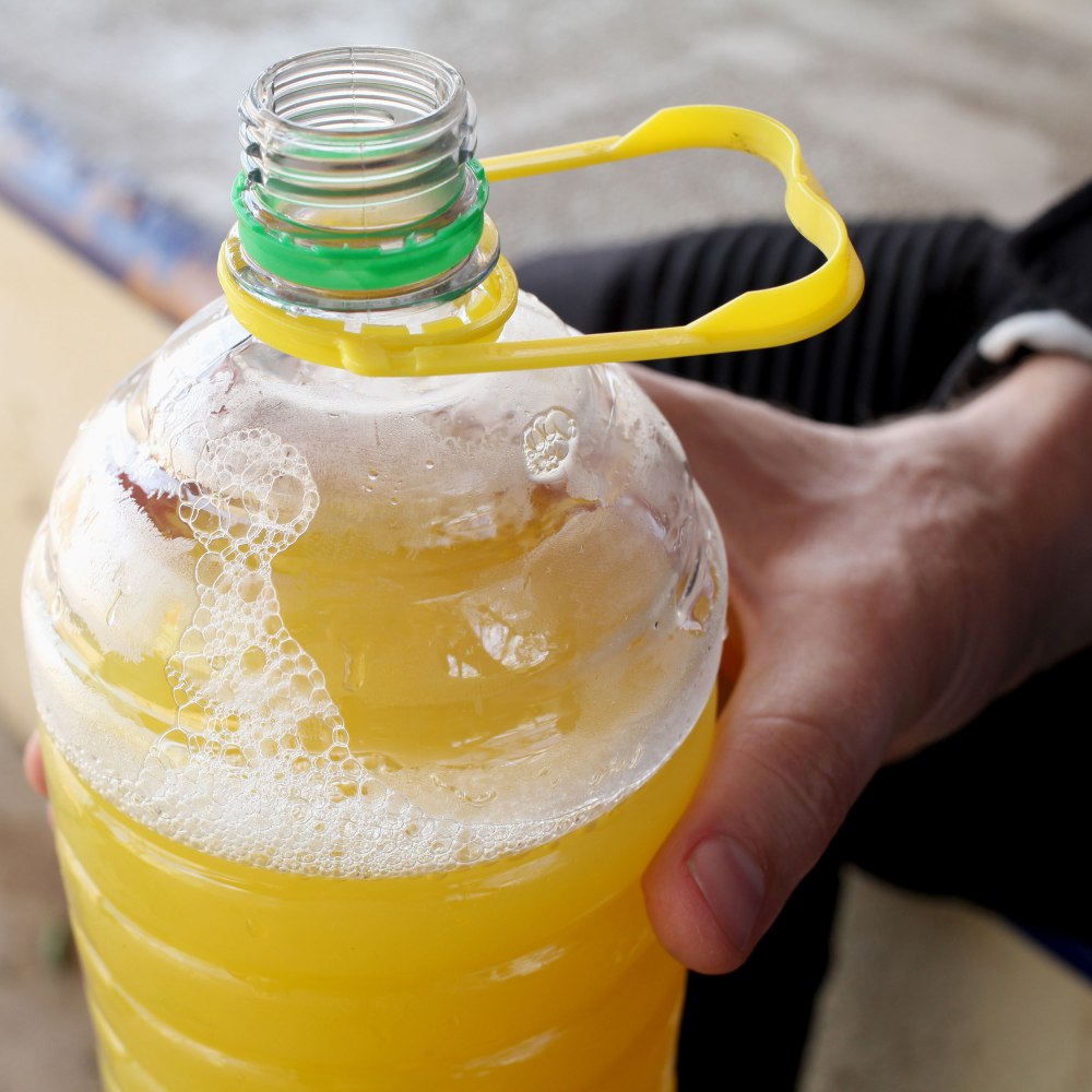 $15 pesos of Piña juice at a roadside stall off Highway 145 in Mexico. Photo: Alex Washburn