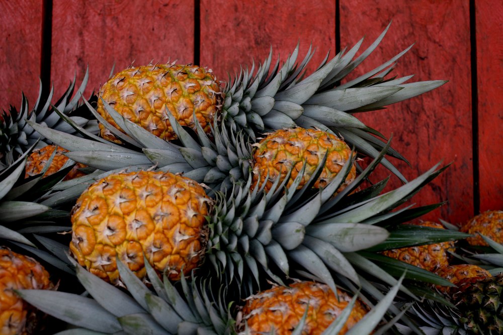 Piñas at roadside stall just off Highway 145 in Mexico. Photo: Alex Washburn