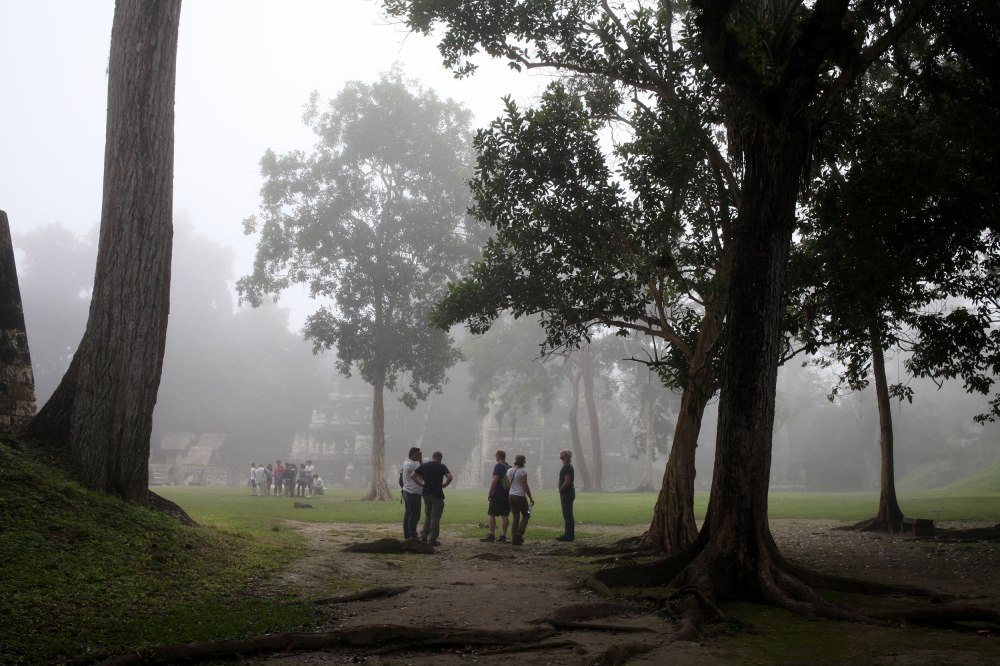 Our tour guide (he wasn't very good) leads the group towards Temple 1 in Tikal National Park. This temple was actually in one of the star wars movies and is quite famous. A benefit to going to the site so early is that there are very few other tour groups and the day hasn't gotten unbearably hot yet. Photo: Alex Washburn