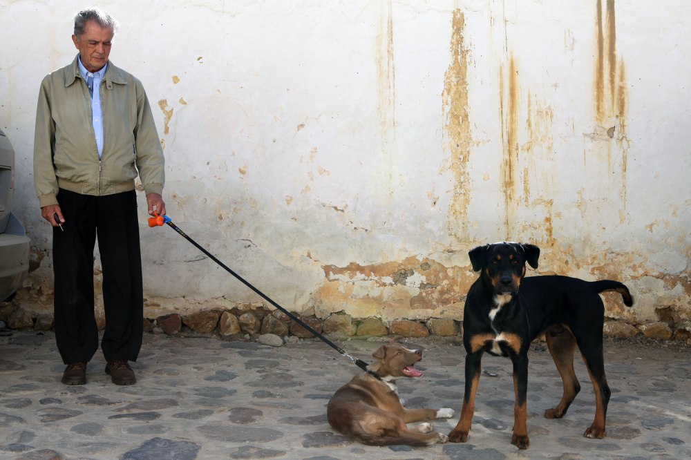 Villa De Leyva is full of people walking their dogs (some on leashes some not). It further adds to the quiet no-hurry atmosphere. Photo: Alex Washburn
