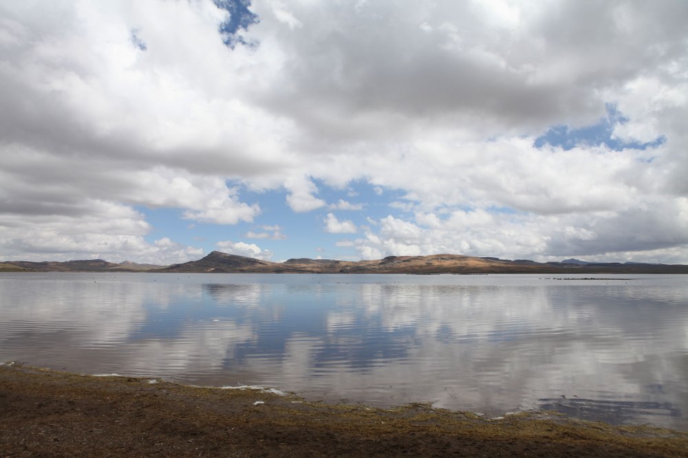 I saw wild flamingos in this lake on the way to Cusco so we stopped to check it out. Sadly, they floated away from us when I started walking towards the water but it was beautiful nonetheless. Photo: Alex Washburn 