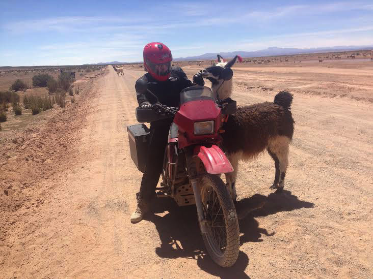 Alex makes friends with the rural lama. Photo: Nathaniel Chaney