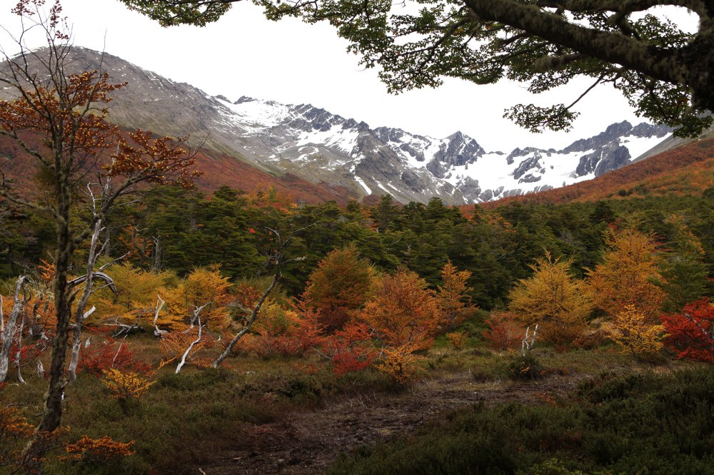 The fall colors are here! Photo: Alex Washburn