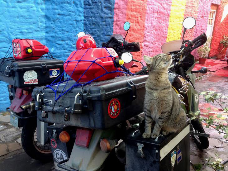 For the final portion of our trip we must carry gas cans. Photo: Alex Washburn